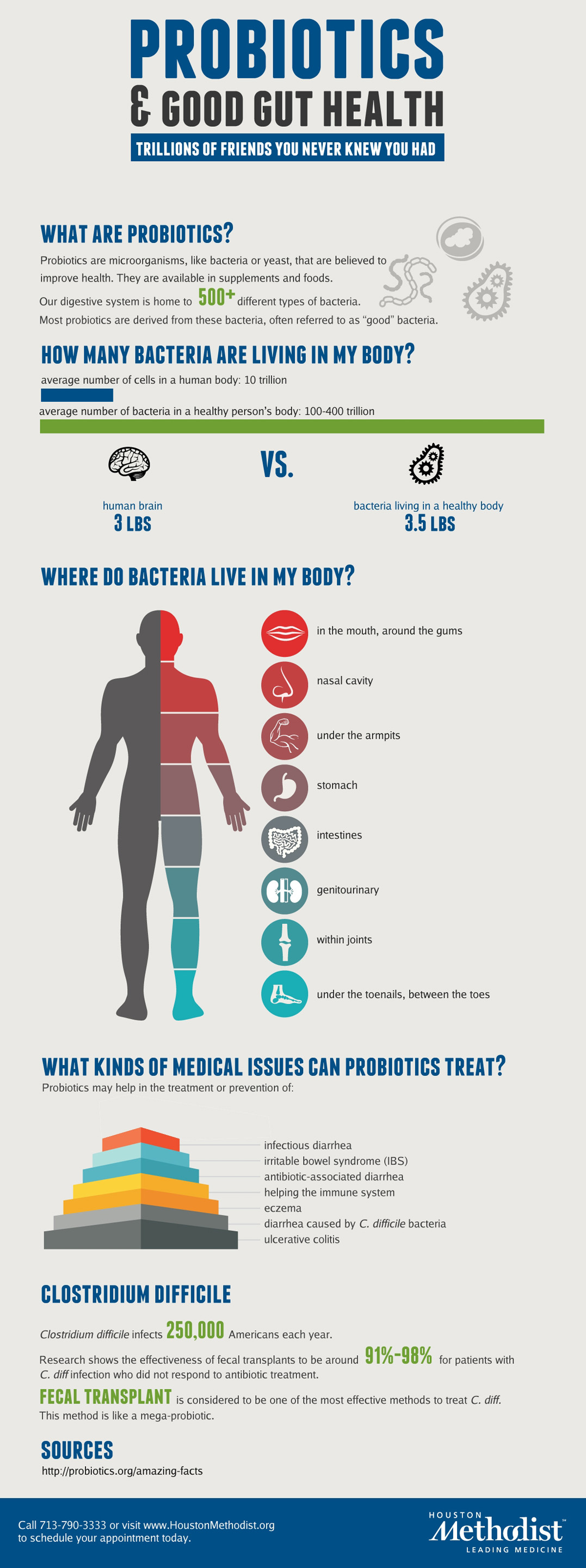 how-do-probiotics-work-hrfnd