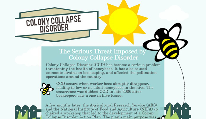 6 Colony Collapse Disorder Statistics | HRFnd