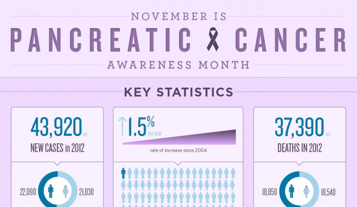 Stage 4 Pancreatic Cancer Life Expectancy HRFnd