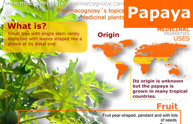 papaya-enzyme-benefits-hrfnd