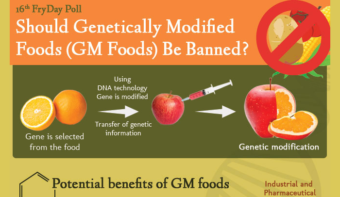 Genedified Food: The Pros And Cons Of Genetically Modified