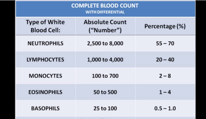 Basos Blood Test Results Interpreted | HRFnd