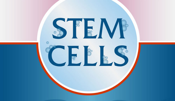 Pros And Cons Of Stem Cell Research Chart