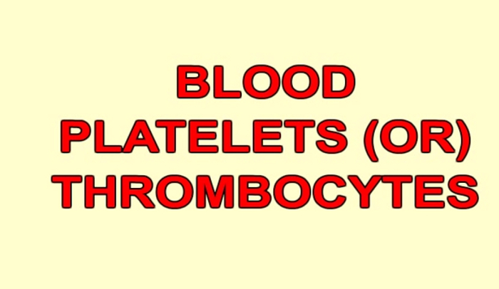 Mpv blood test