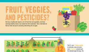 Organic Farming Pros and Cons