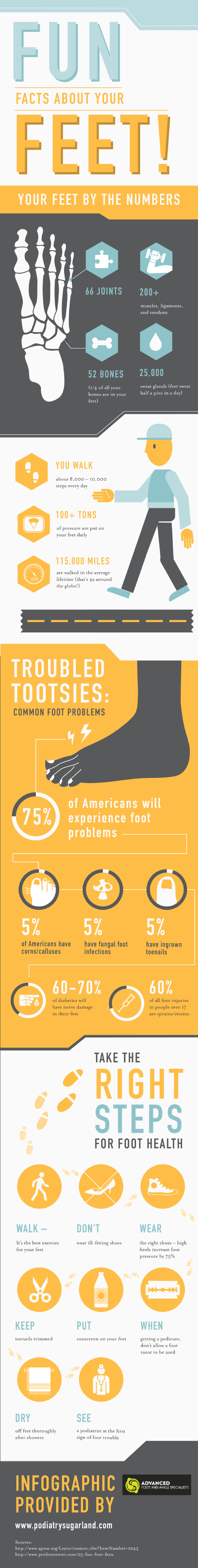 Facts About Feet