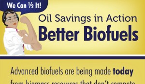 Algae Biofuel Pros and Cons
