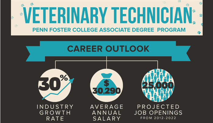 How Much Do Vet Techs Make - HRF