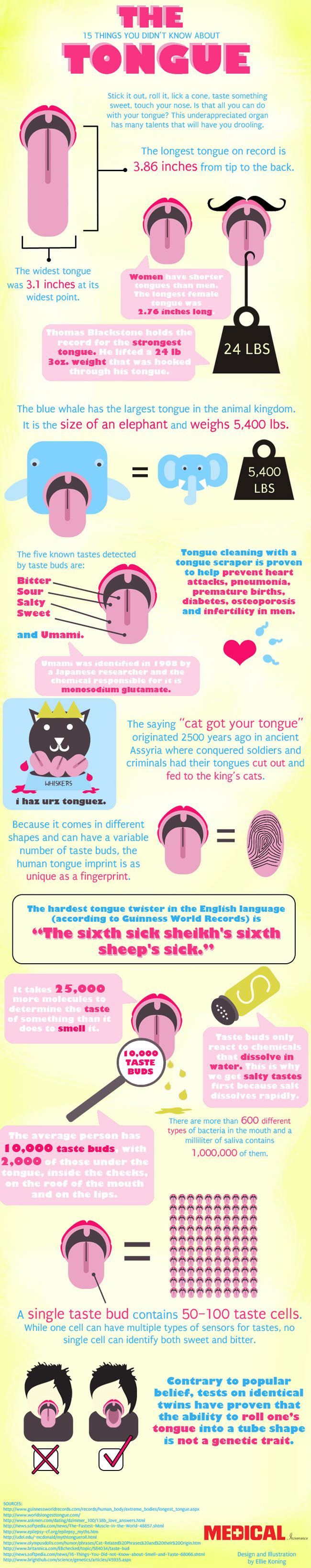Interesting Facts About Tongues