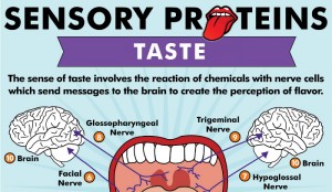 Posterior Tongue Tie Symptoms