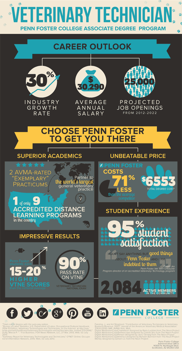 Vet Tech Career Path