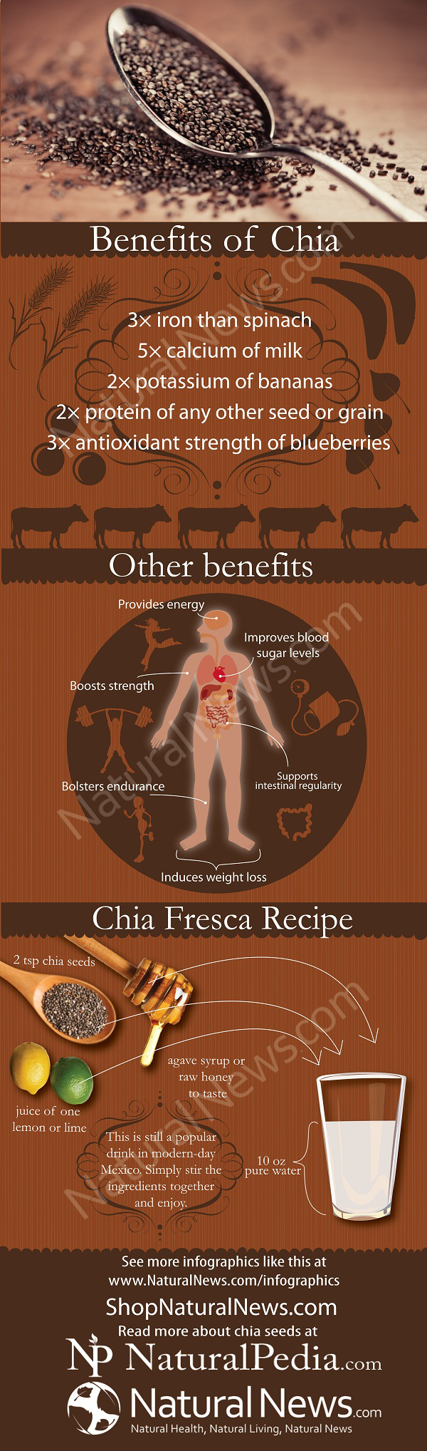 Benefits of Chia