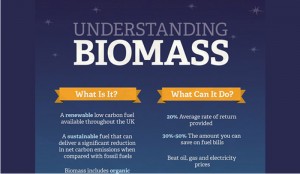 Biomass Pros and Cons