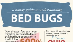 Difference Between Flea Bites and Bed Bug Bites