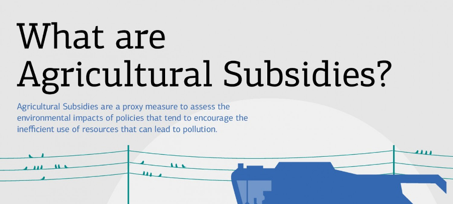 Pros And Cons Of Agriculture Subsidies