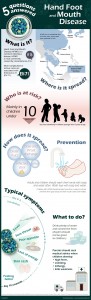 Hand Foot and Mouth Disease Facts