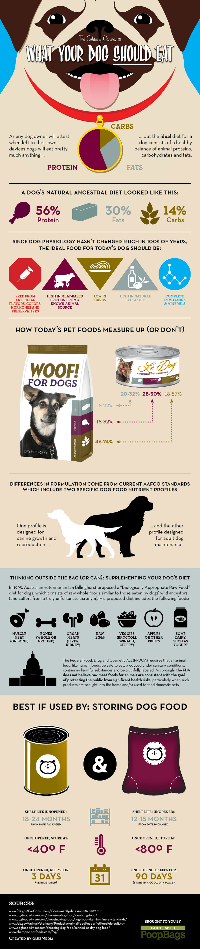What Your Dog Should Eat