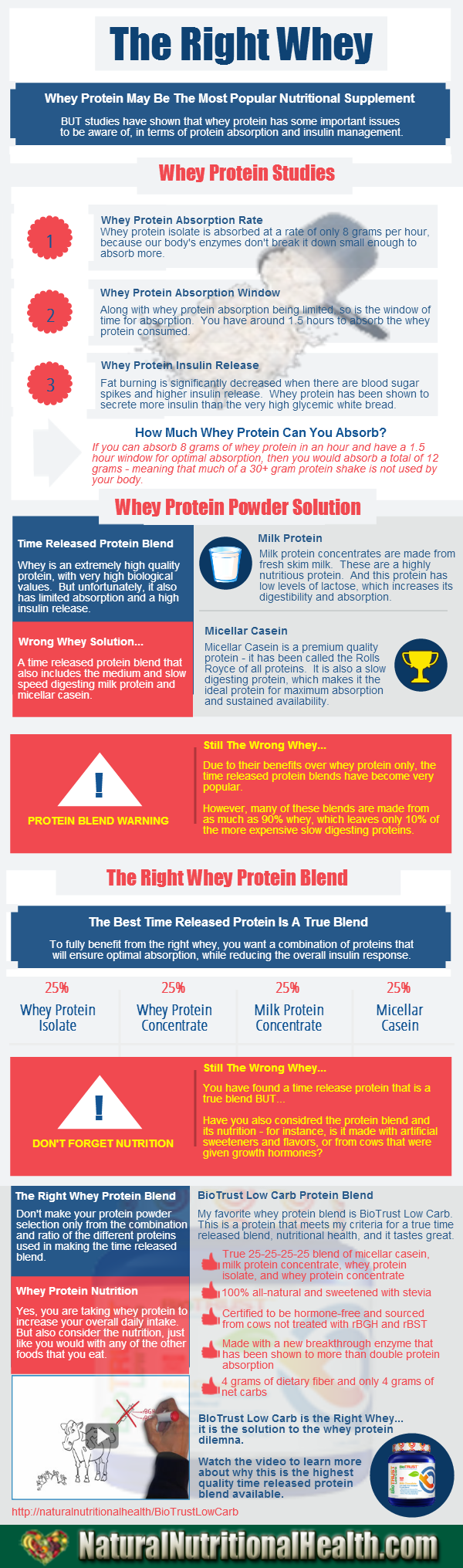 Whey Protein Comparison