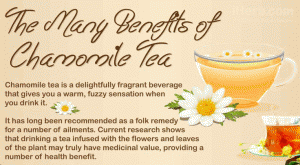 Benefits of Camomile Tea