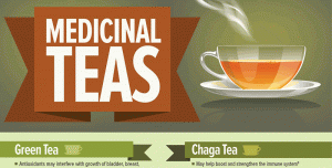 Chaga Mushroom Benefits