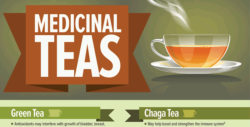 Chaga Mushroom Benefits - HRF