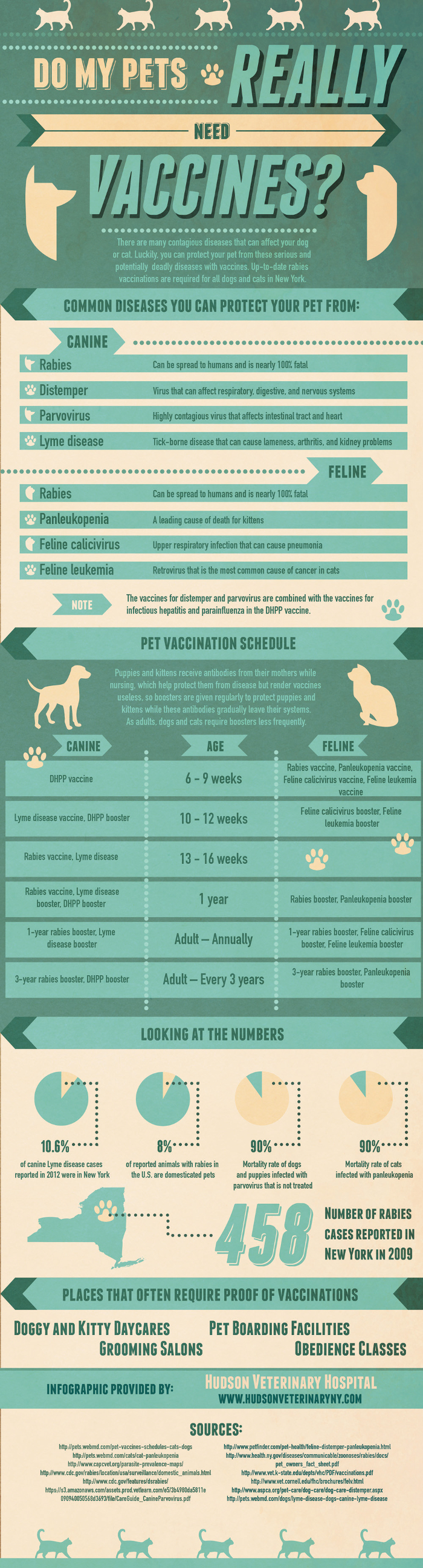 Do My Pets Really Need Vaccines