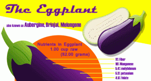 Eggplant Nutritional Benefits