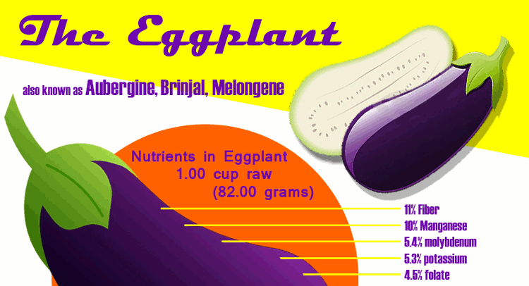 Eggplant Nutritional Benefits - HRF