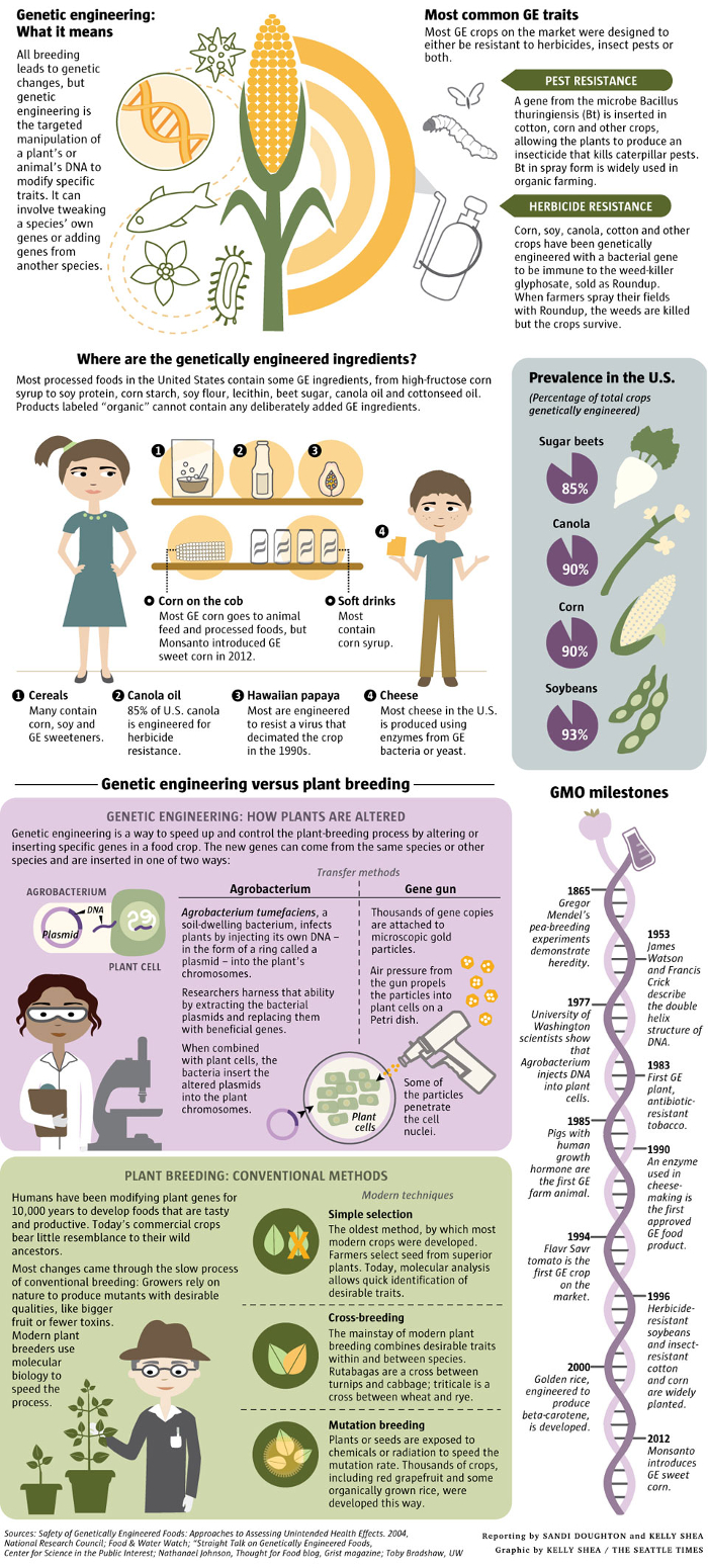 genetic engineering benefits in medicine