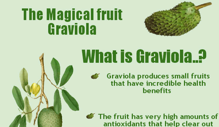 Graviola Side Effects Hrf