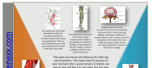 Lateral Meniscus Tear Symptoms