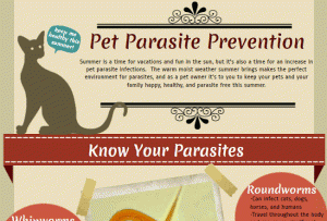 Home Remedies For Tapeworms In Cats