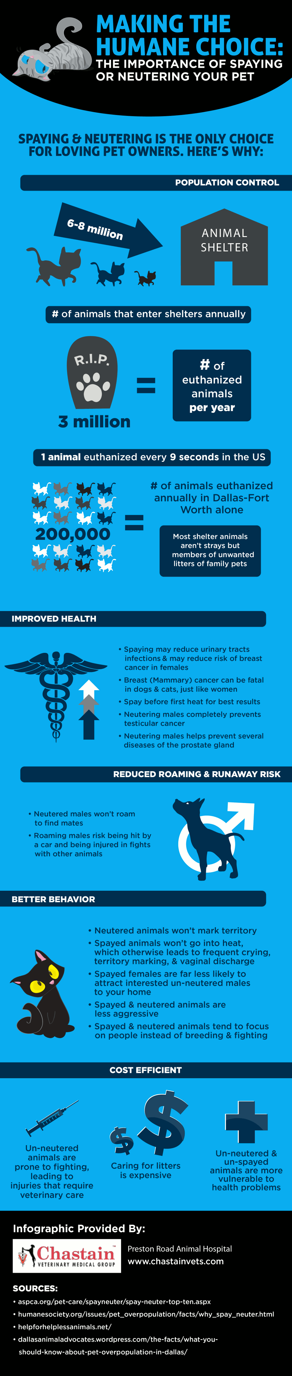 Making The Humane Choice The Importance Of Spaying Or Neutering Your Pet