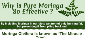 Moringa Oleifera Benefits