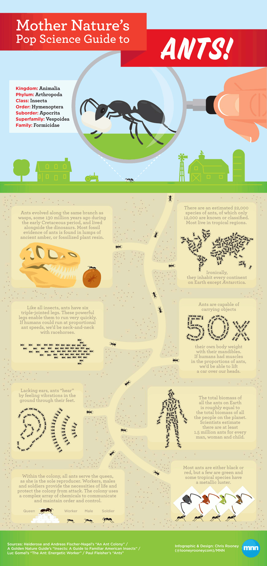 Mother Natures Pop Science Guide To Ants