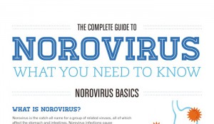 Norwalk Virus Symptoms
