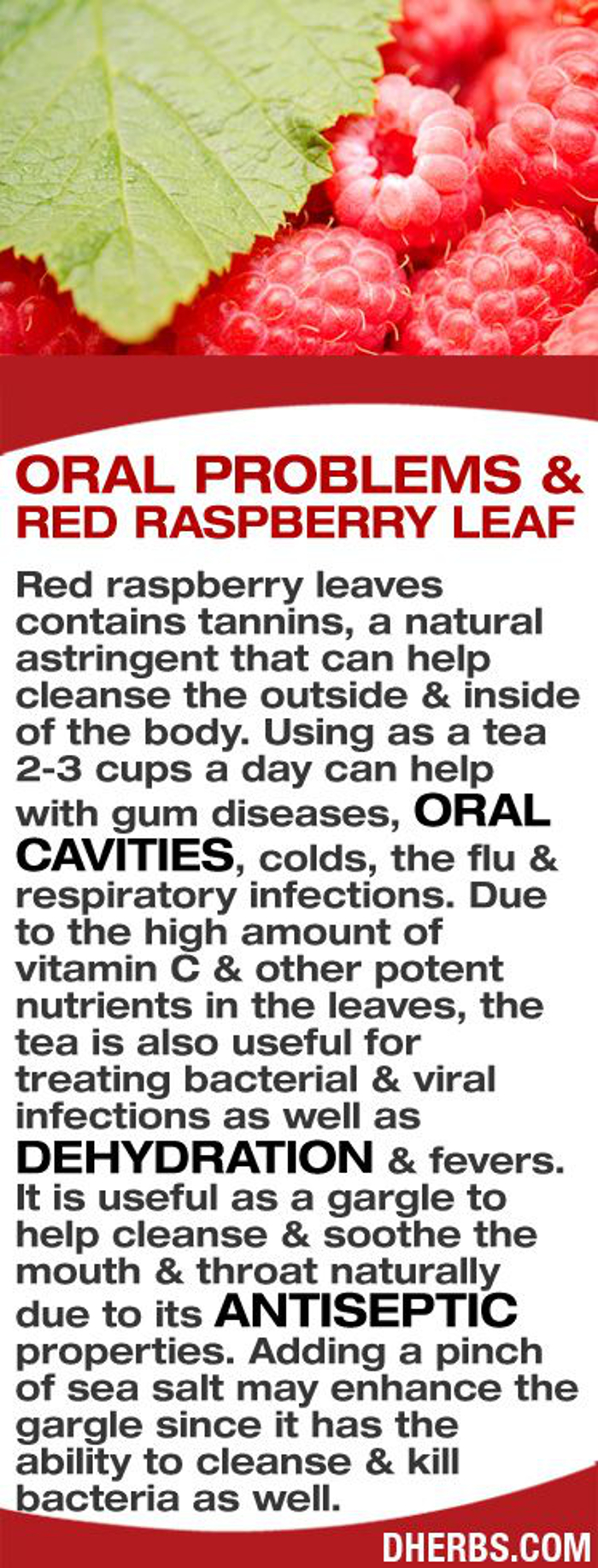 Oral Problems And Red Raspberry Leaf