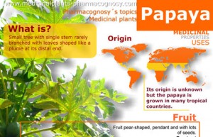 Papaya Enzyme Benefits