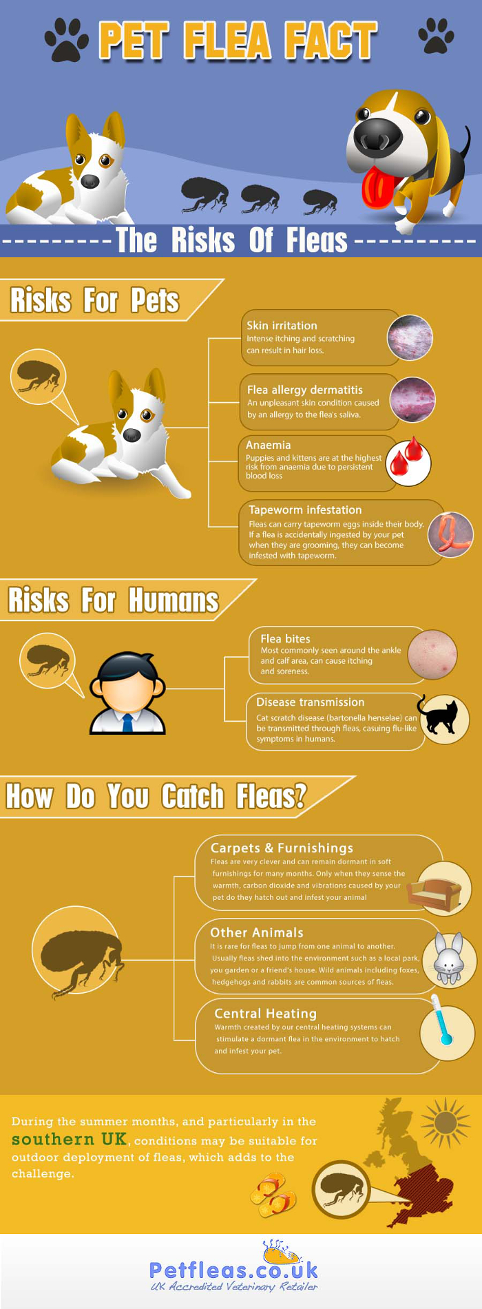 Pet Flea Facts The Risk Of Fleas
