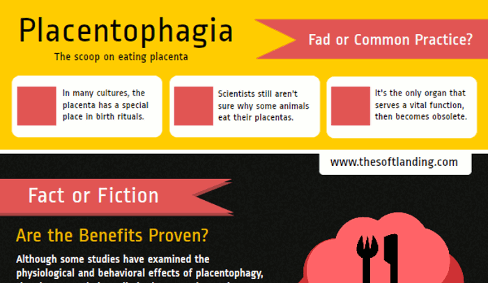 Placenta Encapsulation Benefits Hrf