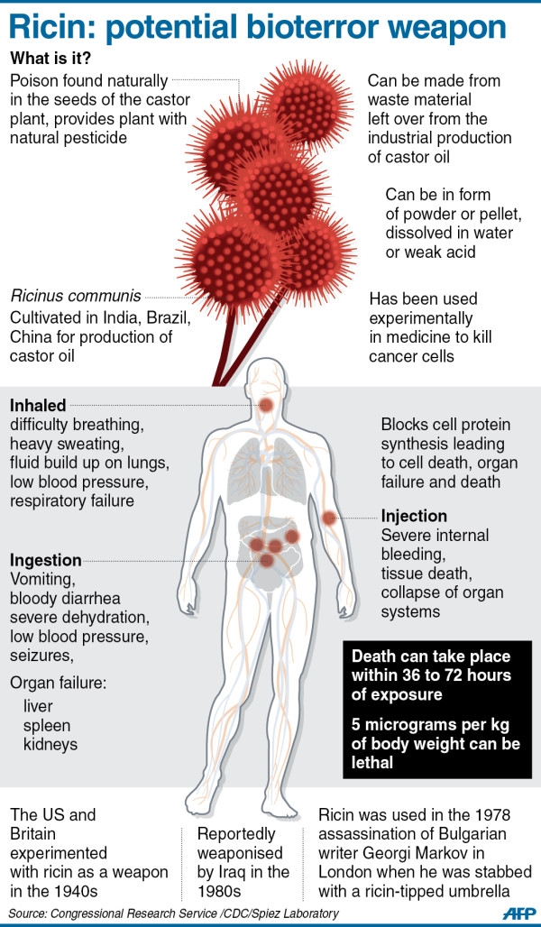 Ricin Potential Bioterror Weapon