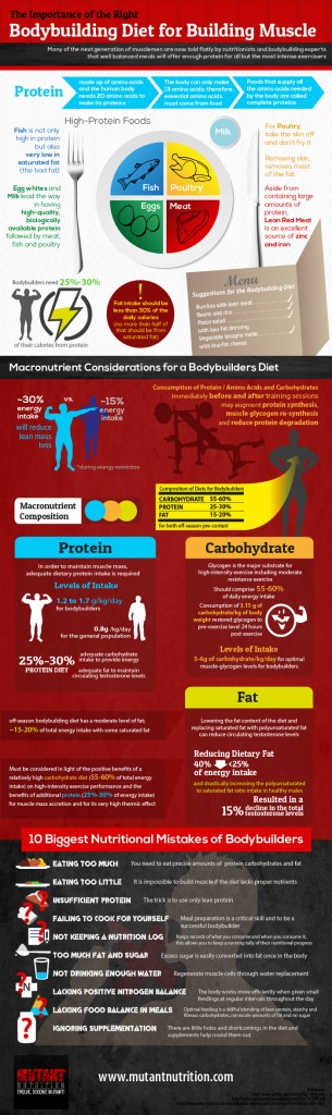 The Importance Of The Right Bodybuilding Diet For Building Muscle - HRF