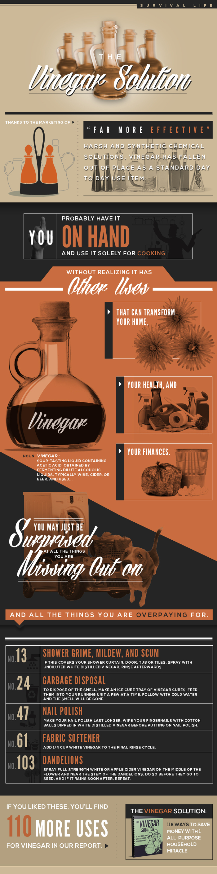 The Vinegar Solution