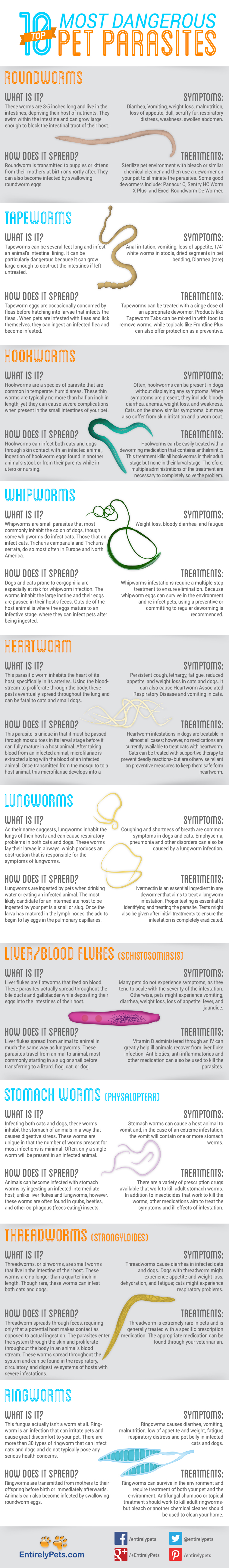 Types of Parasites