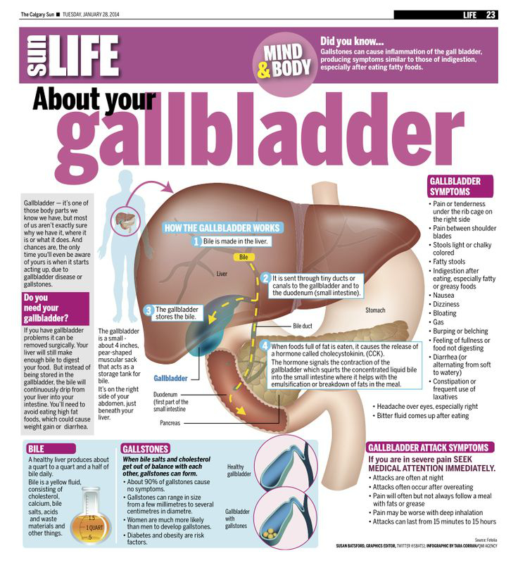 About Your Gallbladder'