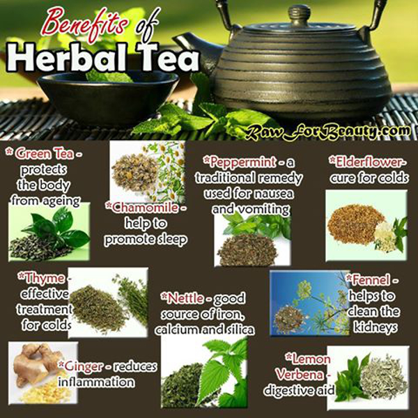 Nettle Leaf Benefits HRF