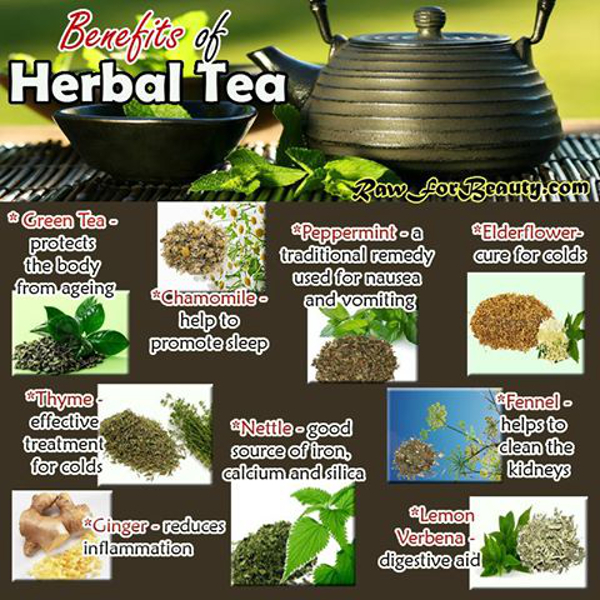 Printable Herbal Tea Benefits Chart