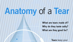 Blocked Tear Duct Symptoms