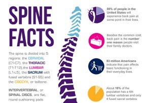 Bruised Tailbone Symptoms