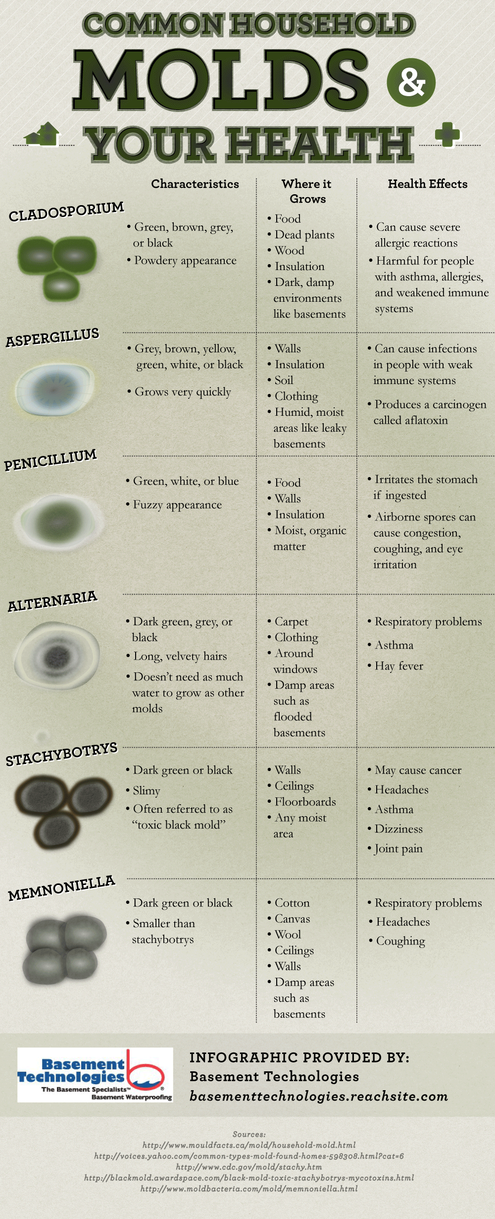 Common Molds in a Home